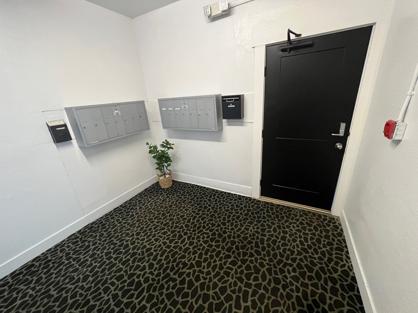 Adams Apartments photo 3