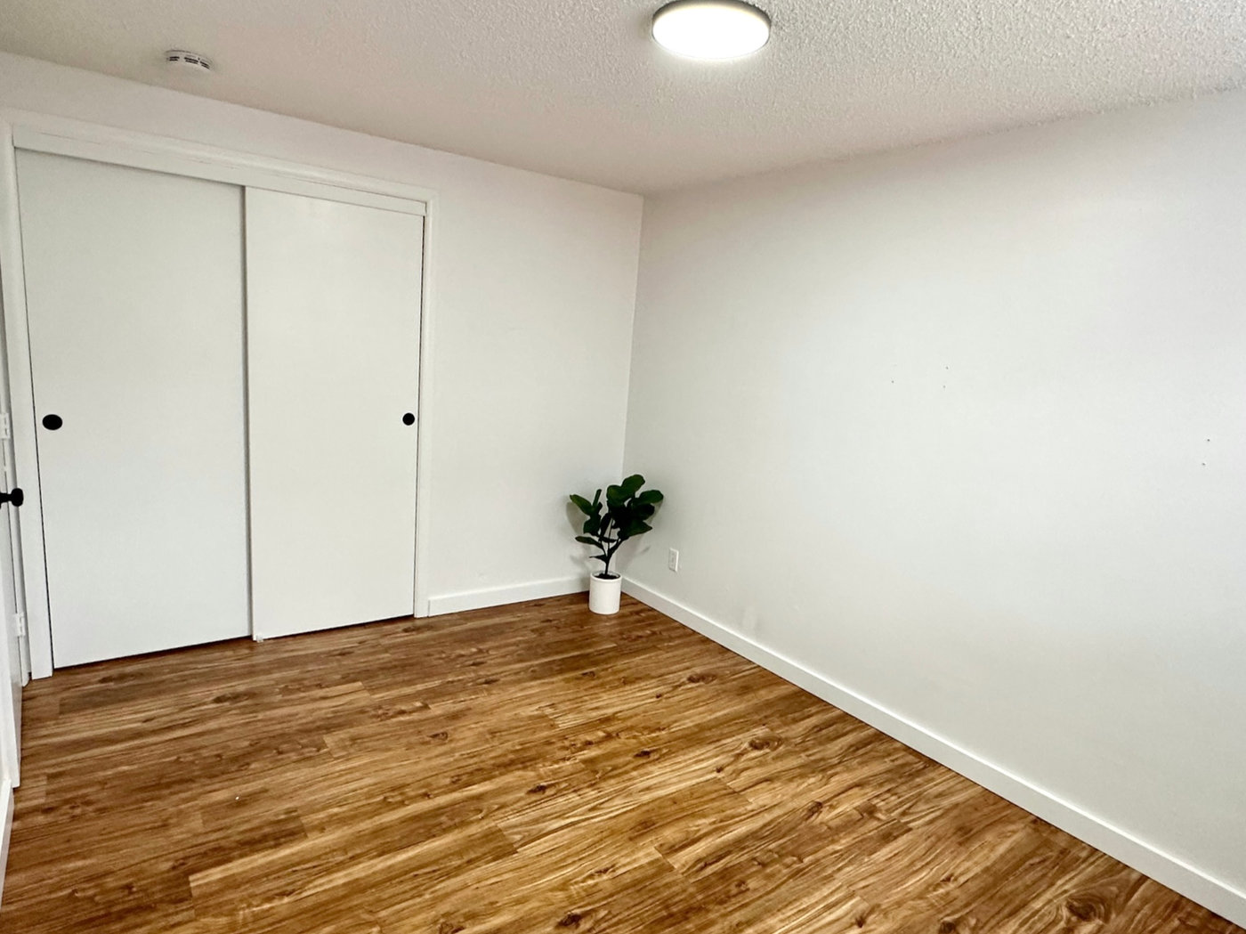 Parkview Apartments photo 3